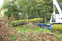 Eiche aus dem Schloßpark von Semlow  - Bilder von Siegfried Kümmel