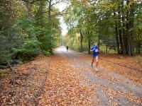 Staffelmarathon 2008 im Ostseebad Dierhagen - Bilder von Siegfried Kümmel