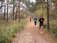 Staffelmarathon 2008 im Ostseebad Dierhagen - Bilder von Siegfried Kümmel