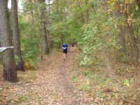 Staffelmarathon 2008 im Ostseebad Dierhagen - Bilder von Siegfried Kümmel