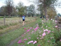 Staffelmarathon 2008 im Ostseebad Dierhagen - Bilder von Siegfried Kümmel