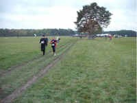 Staffelmarathon 2008 im Ostseebad Dierhagen - Bilder von Siegfried Kümmel