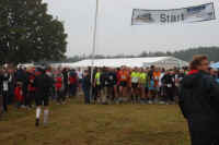 Staffelmarathon im Ostseebad Dierhagen, Freizeitsport 2009